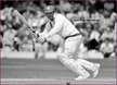 Gordon GREENIDGE - West Indies - Test Record v New Zealand