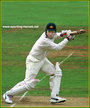 Ian HEALY - Australia - Test Record v New Zealand