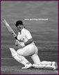 Allan LAMB - England - Test Record v India