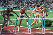 Allen JOHNSON - U.S.A. - World then Olympic champion in 1995 & 1996.
