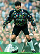 Pavel SRNICEK - Newcastle United - Football Career at Newcastle