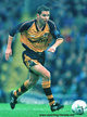 Darren FERGUSON - Wolverhampton Wanderers - League appearances.