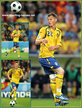 Markus ROSENBERG - Sweden - UEFA EM 2008