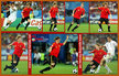 Fernando TORRES - Spain - UEFA Campeonato Europa 2008 inc.l Final.