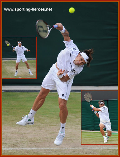 David Ferrer - Wimbledon 2011 (last sixteen)