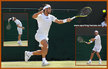 Feliciano LOPEZ - Spain - Wimbledon 2011 (quarter finallist)