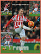 Glenn WHELAN - Stoke City FC - Premiership Appearances