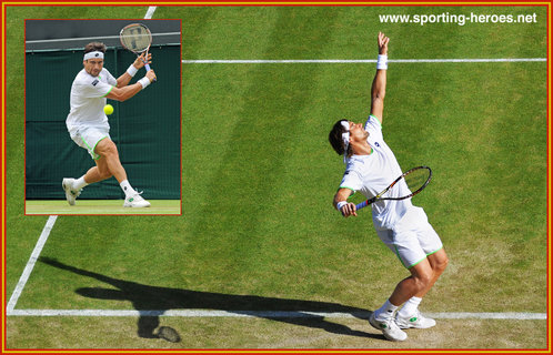 David Ferrer - Quarter finalist at Wimbledon 2013.