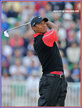 Tiger WOODS - U.S.A. - 2013: =4th at Masters & =6th at British Open.