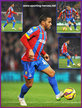 Jason PUNCHEON - Crystal Palace - Premiership Appearances