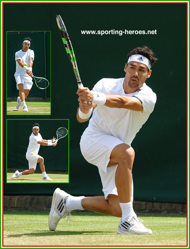 Fabio FOGNINI - Italy - 2014 Last sixteen at Australian Open.