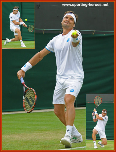 David Ferrer - 2014 quarter-finalist at French and Australian Opens.