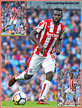 Mame Biram DIOUF - Stoke City FC - League Appearances