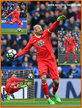 Heurelho GOMES - Watford FC - League Appearances