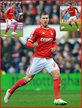 Gary GARDNER - Nottingham Forest - League Appearances