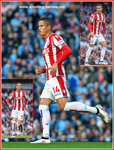 Ibrahim Afellay - Stoke City FC - Premiership Appearances