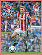 Darren FLETCHER - Stoke City FC - Premier League Appearances