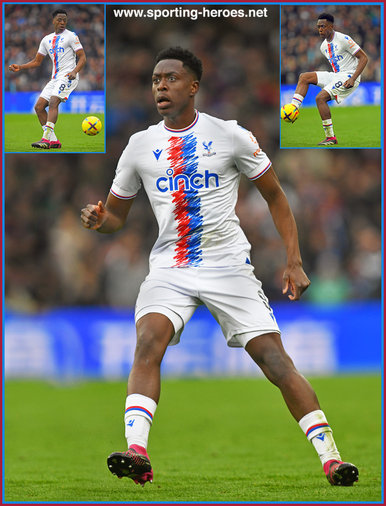 Albert Sambi LOKONGA - Crystal Palace - League Appearances