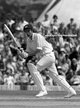 Greg CHAPPELL - Australia - Test Record v Pakistan