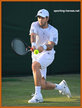 Fernando VERDASCO - Spain - U.S. Open 2010 (Quarter-Finalist)