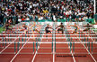 Dionne ROSE - Jamaica - Championship Record in 100m Hurdles & Long Jump.