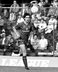 Steve CLARKE