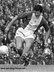 Stan HARLAND