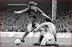 Alan WADDLE