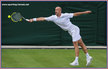 Ivan LJUBICIC - Croatia  - French Open 2011 (last 16)