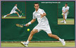 Vikto TROICKI - Serbia - French Open 2011 (last 16)