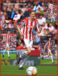 Peter CROUCH - Stoke City FC - Premiership Appearances