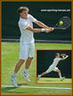 David GOFFIN - Belgium - Last sixteen at 2012 French Open.