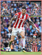 Geoff CAMERON - Stoke City FC - Premiership Appearances