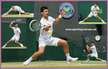 Novak DJOKOVIC - Serbia - 2013: Australian Champion, runner-up at Wimbledon & U.S.