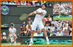 Fernando VERDASCO - Spain - Quarter finalist at Wimbledon 2013.