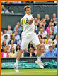 Tommy ROBREDO - Spain - 2013: Quarter finalist at The French & U.S. Championships.