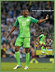 Shola AMEOBI