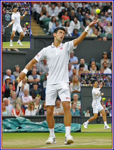 Novak Djokovic - Serbia - 2014 Men's Wimbledon Champion finalist at French.