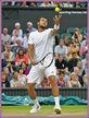 Jo-Wilfried TSONGA - France - 2014 last sixteen at all four Majors