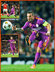 Wesley SNEIJDER