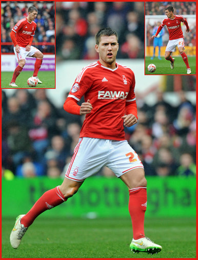 Gary GARDNER - Nottingham Forest - League Appearances