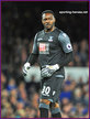 Steve MANDANDA - Crystal Palace - Premier League Appearances