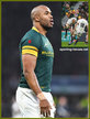 JP PIETERSEN - South Africa - International rugby caps 2013 - 2016