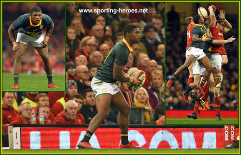 Warrick GELANT - South Africa - International Rugby Union Caps.