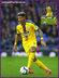 Patrick VAN AANHOLT