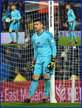 Neil ETHERIDGE - Cardiff City FC - League Appearances