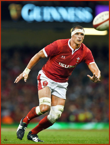 Aaron SHINGLER - Wales - 2019 Rugby World Cup games.