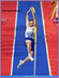 Valentin LAVILLENIE