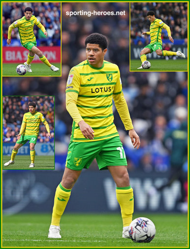 Gabriel SARA - Norwich City FC - League appearances.