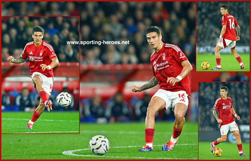 Nicolas DOMINGUEZ - Nottingham Forest - League Appearances